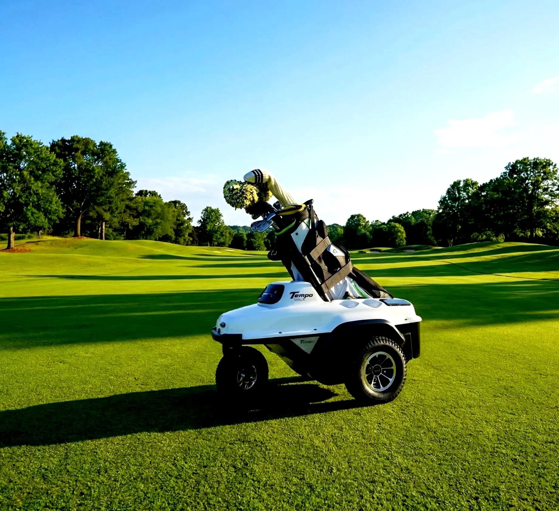 Rover on the fairway
